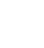 vector